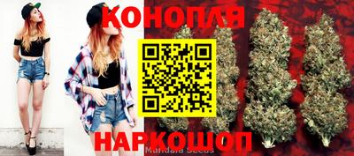 МДПВ Вышний Волочёк