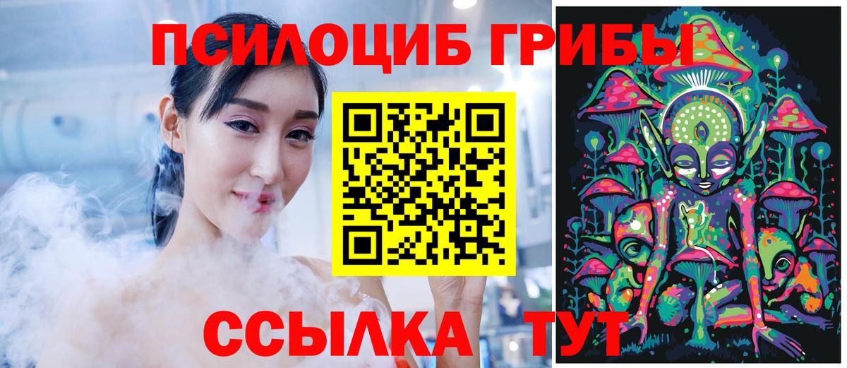 Галлюциногенные грибы мицелий  Вход с VPN  где купить   Острогожск 
