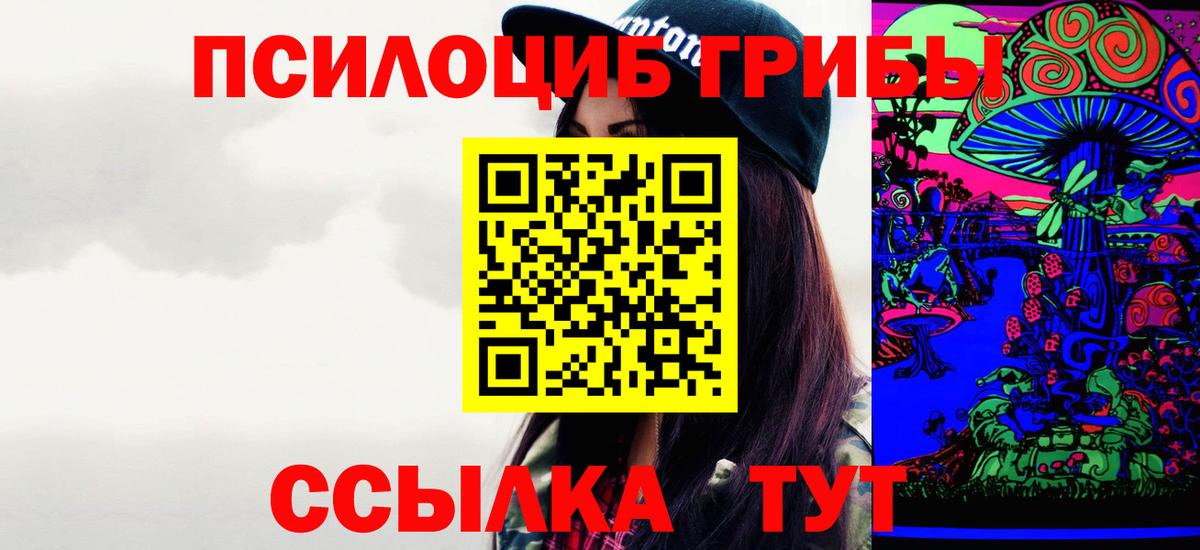 Галлюциногенные грибы Psilocybe Острогожск